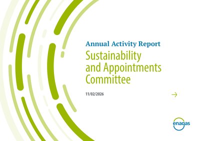 Enagas SA 2025 Annual Activity Report Sustainability and Appointments Committee
